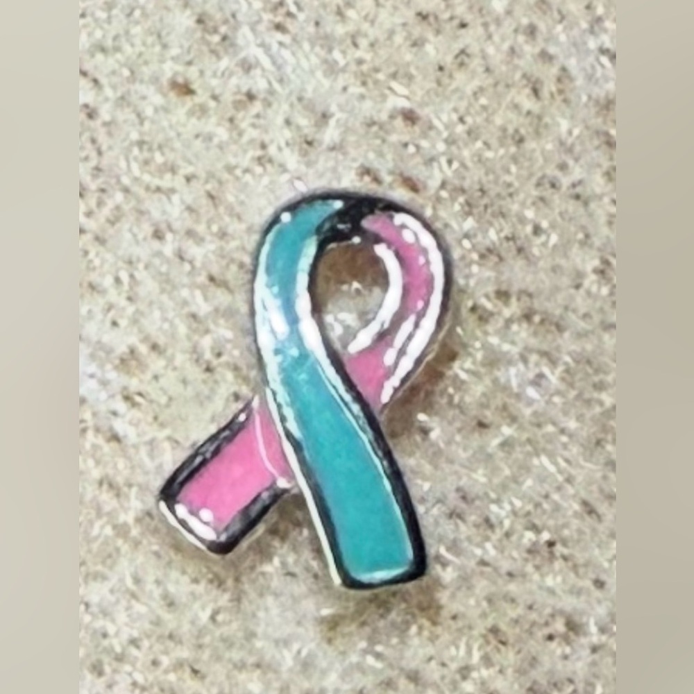 Origami Owl Floating Charms Pregnancy Loss Awareness Ribbon